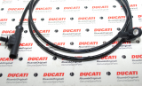 NEU Ducati ABS 55212111B Bosch Panigale V4 1299 899 Bremse Monster 1200 Sensor
