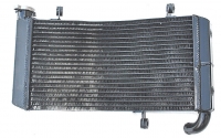 Ducati Monster S4 / S4R Wasserk�hler OEM style DOD